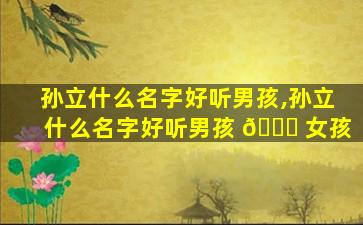 孙立什么名字好听男孩,孙立什么名字好听男孩 🍀 女孩